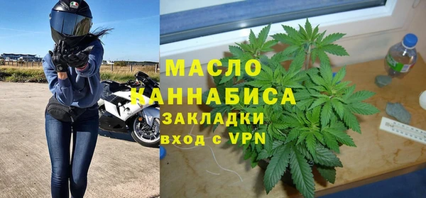 мет Алексин