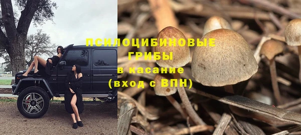 ALPHA-PVP Алексеевка